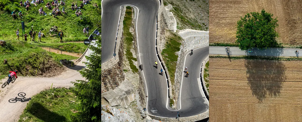 Trois pratiques du vélo : VTT sur un chemin, cyclistes sur une route de montagne, VTC sur une route de campagne